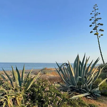 4 Bedroom Townhouse 200 Meters From The Beach! Lejlighed